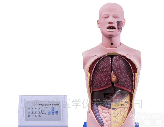 QS/H80  多功能高<em>仿真</em>透明训练<em>洗胃</em><em>模型</em>