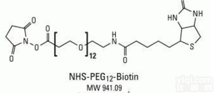 小分子PEG  <em>交联剂</em><em>NHS</em>-PEG12-<em>Biotin</em>,<em>NHS</em>-PEO12-Bioti...