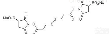 142702-31-6  蛋白<em>交联剂</em>DTSSP crosslinker，142702-31-6