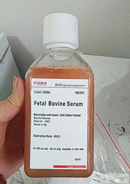 SIGMA胎牛<em>血清</em>货号F2442<em>北美</em>源胎牛<em>血清</em>