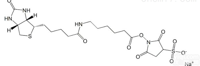127062-22-0  <em>交联剂</em>Sulfo <em>NHS</em> LC <em>Biotin</em>,127062-22-0