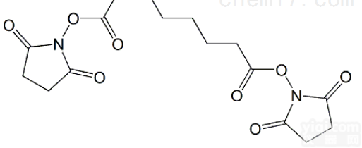 <em>DSS</em>  <em>交联剂</em>Disuccinimidyl Suberate,68528-80...