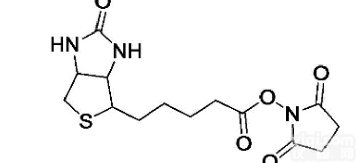 （+）-Biotin-<em>NHS</em> Ester  Biotin-<em>NHS</em>,<em>生物</em>素-琥珀酰亚胺,35013-72-0
