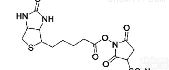 <em>Sulfo</em>succinimidyl biotin  蛋白标记用 <em>Biotin</em> <em>Sulfo</em>-Osu,119616-38-5