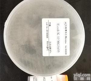 ATCC 15468  ATCC 15468 <em>美国</em>ATCC<em>质控</em>微生物