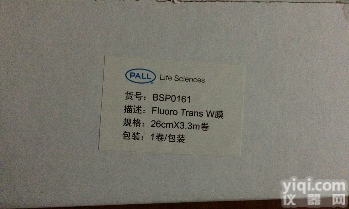 美国pall微生物检测<em>滤膜</em>白底黑格GN-6<em>滤膜</em>