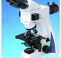 LB-244<em>双目</em>LED<em>荧光</em>生物显微镜
