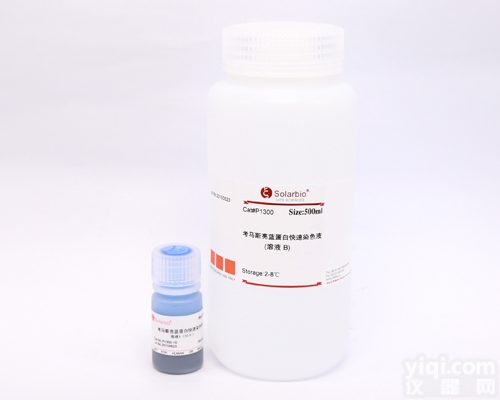 P1300  考马斯亮蓝快速染色液 P1300