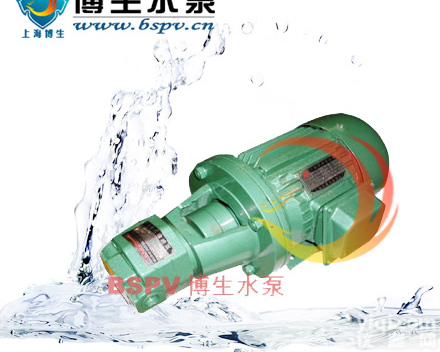 博生品PaiBB型、<em>BBG型内啮合摆线齿轮泵</em>