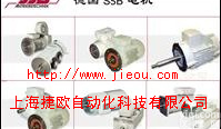 德国<em>SSB</em>电机、<em>SSB</em><em>伺服电机</em>、<em>SSB</em>微型电机