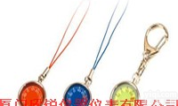 <em>钥匙扣</em><em>温度计</em>T120