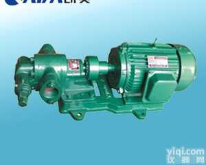 2CY系列齿轮油泵 卧式齿轮油泵 <em>不锈钢齿轮泵</em>