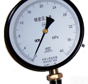 YB-<em>254</em><em>精密</em><em>压力表</em>