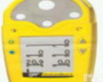 <em>加拿大</em>BW 气体<em>检测仪</em><em>GAMIC</em>-5