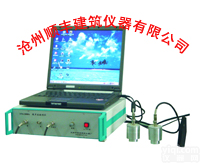 非金属超声波检测仪（<em>沧州</em><em>顺丰</em>）