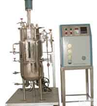 <em>全自动发酵罐</em>