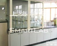 SmartLab<em>简易</em><em>通风柜</em>/<em>排烟</em>柜