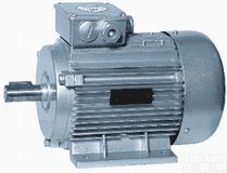TYBZ稀土永磁<em>同步电动机</em>