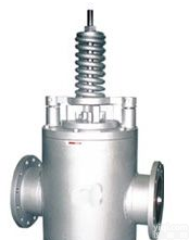 <em>安全逆止阀</em>