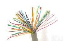 <em>电子计算机用屏蔽控制电缆</em>