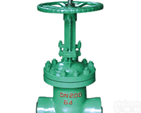 <em>DKZ61H真空闸阀</em>