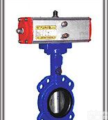 D671X<em>对夹式</em><em>气动</em>软密封<em>蝶阀</em>