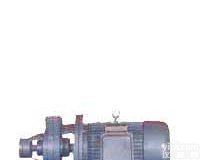 1W2.4-10.5<em>单级型漩涡泵</em>