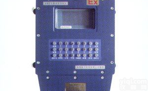 AWZ型<em>定量装车控制仪</em>