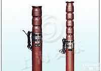 <em>QJ系列深井泵潜水泵</em>