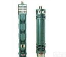 <em>AS型系列潜水排污泵</em>