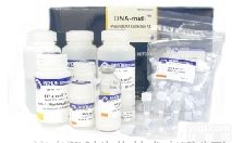 <em>质粒</em>DNA大量<em>提取</em>试剂盒