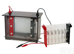 JY-<em>SX</em>3型<em>双向电泳</em>槽 