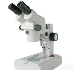 J-<em>IVT</em>系列数码体视显微镜