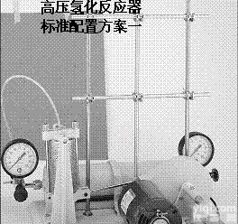 ACE 高压<em>氢化反应</em>系统