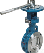 <em>D73H手动对夹式硬密封蝶阀</em>