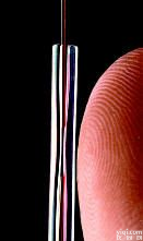 <em>快速</em>毛细管<em>连接</em>器