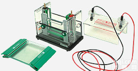 AE-<em>6450</em><em>垂直电泳</em>槽