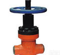 <em>焊接式</em>阀门|<em>上海</em>正良阀门厂