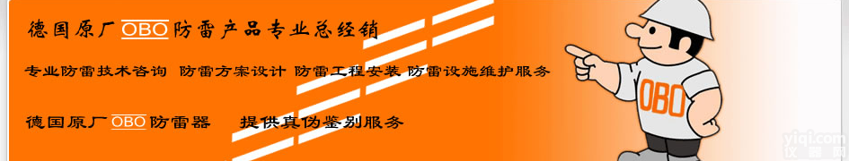 <em>防雷工程</em>