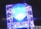 <em>蓝光</em>食人鱼ＬＥＤ