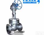 进口<em>高温高压</em>闸阀-美国<em>富兰克</em>总代理