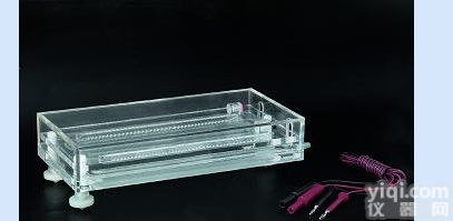 水平<em>电泳仪</em>（等电<em>聚焦</em>） 型号wi272187