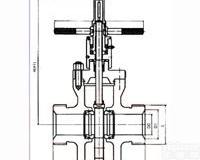 ZF23Y-16/450系列<em>高压带导流孔平板闸阀</em>