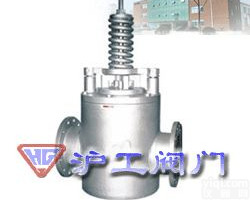 <em>安全逆止阀</em>