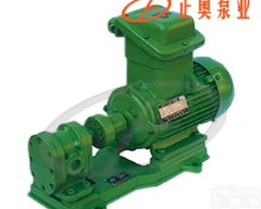 <em>2CY型齿轮润滑油泵</em> 输送润滑油