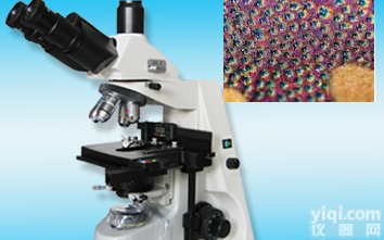 <em>科研型</em>生物<em>显微镜</em> LW300-46LD(数显)
