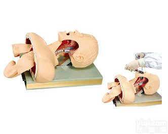 <em>人体</em><em>气管</em><em>插管</em>操作模型，高级<em>气管</em><em>插管</em>训练模型