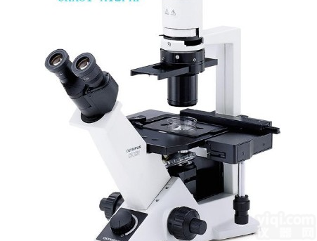 供应<em>奥林巴斯倒置显微镜CKX31</em>