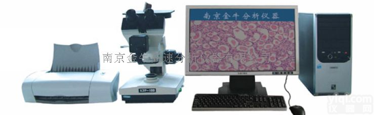 金相<em>分析仪</em>/金相<em>影像</em>分析系统