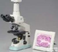 进口尼康<em>双目</em><em>生物</em><em>显微镜</em>|奥林巴斯<em>生物</em><em>显微镜</em>|<em>双目</em><em>生物</em><em>显微镜</em>价格使用